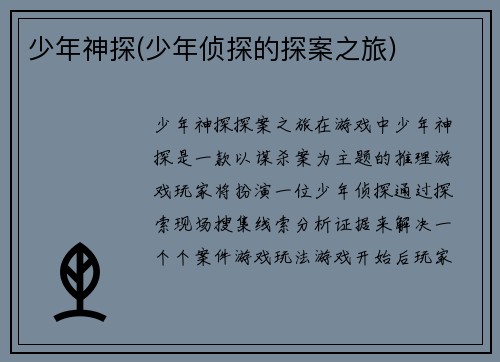 少年神探(少年侦探的探案之旅)